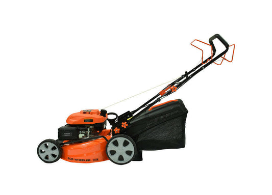 nan - Dustin CT Mini Moto