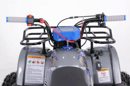 VTT POUR ENFANTS 125 CC- ATV- Tao Tao T-Force Platinium - Dustin CT Mini Moto