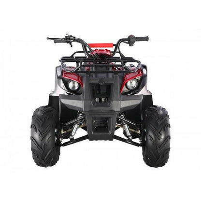 VTT-AVT POUR ENFANTS Tao Tao D-125 - Dustin CT Mini Moto