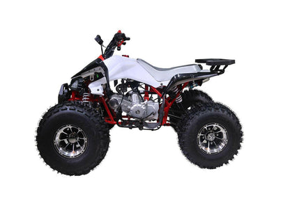 nan - Dustin CT Mini Moto