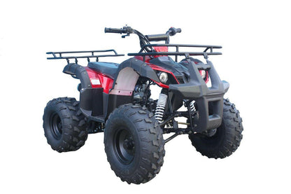 VTT POUR ENFANT 125 CC- ATV- Tao Tao T-FORCE - Dustin CT Mini Moto