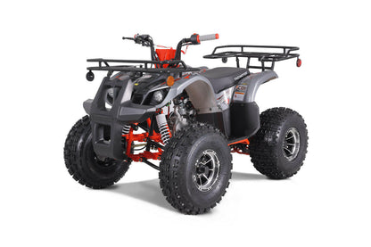 VTT POUR ENFANTS 125 CC- ATV- Tao Tao T-Force Platinium - Dustin CT Mini Moto