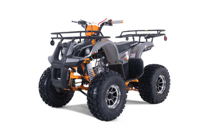 VTT POUR ENFANTS 125 CC- ATV- Tao Tao T-Force Platinium - Dustin CT Mini Moto
