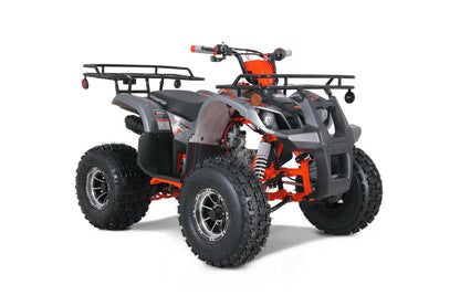 VTT POUR ENFANTS 125 CC- ATV- Tao Tao T-Force Platinium - Dustin CT Mini Moto