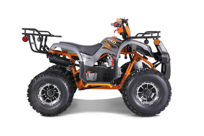 VTT POUR ENFANTS 125 CC- ATV- Tao Tao T-Force Platinium - Dustin CT Mini Moto