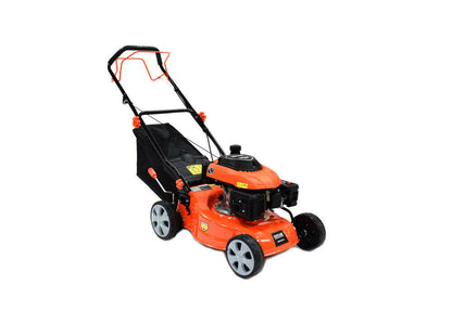 nan - Dustin CT Mini Moto