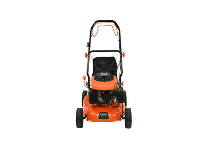 nan - Dustin CT Mini Moto